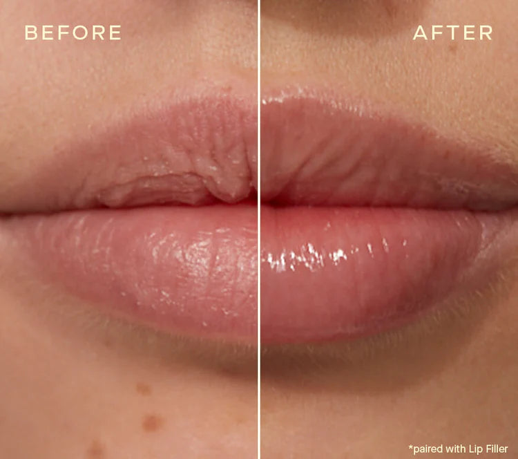 Lip Conditioner